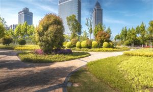 社區服務市場發展趨勢及投資機遇分析2024