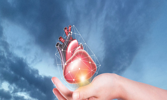 器官移植市場(chǎng)前景機(jī)遇深度調(diào)研分析2024