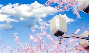 2024年中國網絡動漫行業市場深度調研與發展前景預測報告