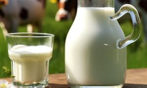 新西蘭出口到中國的所有乳制品都實現了免征關稅?  我國乳制品行業市場分析