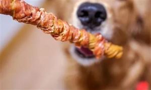 寵物食品行業深度分析及市場潛力2024