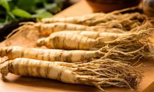 人參行業(yè)市場深度分析及發(fā)展前景