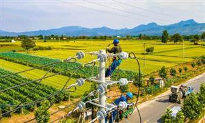 2024農村電網改造行業發展潛力及投資方向：電力營銷與服務是重要方向之一