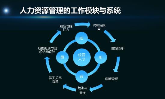 2024人力資源管理系統行業深度調研：AI的應用正推動行業邁向智能化