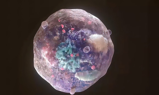 瓊膠酶行業(yè)應(yīng)用領(lǐng)域及市場(chǎng)需求前景分析