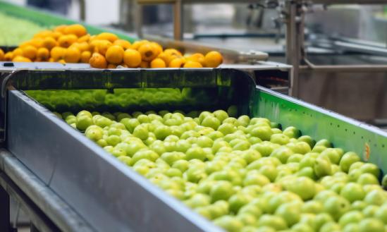 果干蜜餞近年來(lái)線上規(guī)模與增速均穩(wěn)步上升  果蔬加工產(chǎn)業(yè)現(xiàn)狀分析