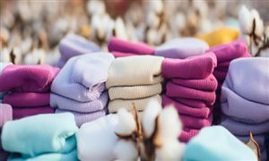 產業分析 | 襪子行業市場深度分析