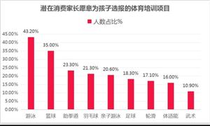 羽毛球市場機遇深度調研分析2024