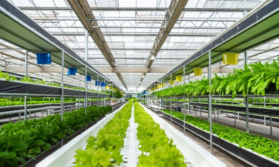 2024年中國農業信息化行業市場發展現狀及重點企業