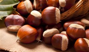 2024板栗行業深度調研：中國板栗及其加工產品的出口量不斷增加