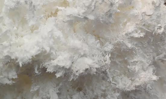 聚乙烯醇市場(chǎng)行情最新 聚乙烯醇行業(yè)市場(chǎng)調(diào)研與未來(lái)發(fā)展方向