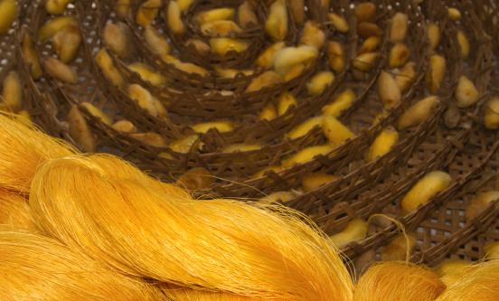 桑蠶養殖行業現狀及發展環境分析2024