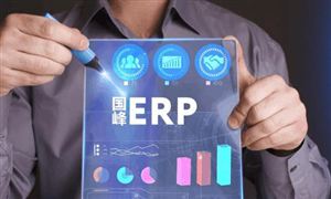 行業洞察：預計2024年全球ERP市場規模將接近30億美元