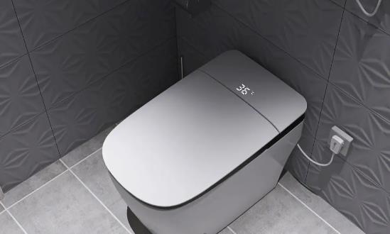 智能馬桶市場銷售現狀與前景分析2024