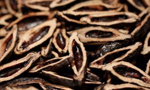 檳榔市場現(xiàn)狀調(diào)研：預(yù)計(jì)到2025年中國檳榔產(chǎn)業(yè)產(chǎn)值將超1000億元