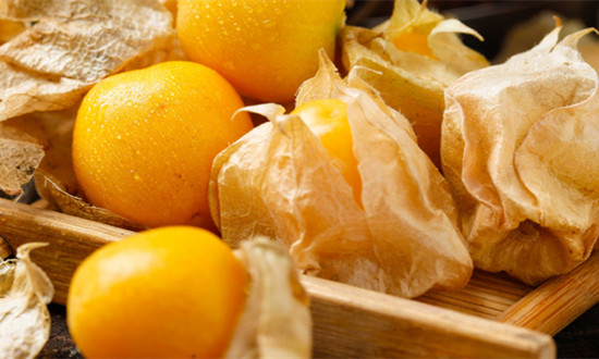 菇娘種植行業(yè)發(fā)展現(xiàn)狀及市場(chǎng)前景分析