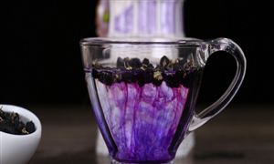 花青素行業(yè)市場(chǎng)規(guī)模和前景趨勢(shì)分析