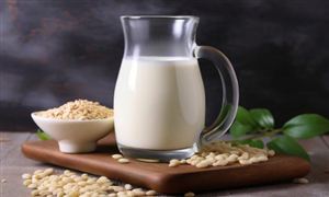 植物蛋白飲料行業發展現狀及細分領域產品分析2024