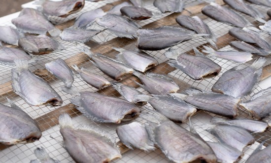 2024年中國干制魚片行業產業鏈上下游結構及重點企業