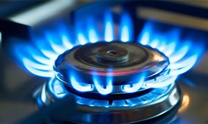 城市燃氣企業盈利模式及行業未來前景展望2024