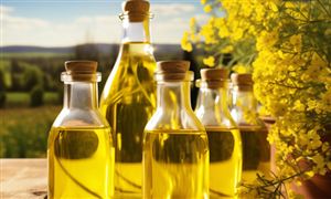 油菜籽行業政策環境分析及市場趨勢預測2024