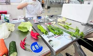 食品安全檢測行業市場調研與發展趨勢：朝著更高效、更精確的方向發展