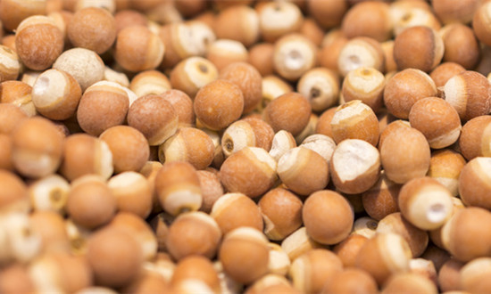 芡實種植行業發展現狀及市場分析