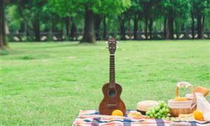 2024露營行業發展現狀：現階段露營行業仍處于起步期