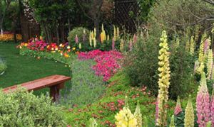 植物園建設行業深度調研及發展方向：2023年全國國土綠化面積超800萬公頃