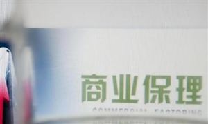2024商業(yè)保理行業(yè)發(fā)展前景研究、未來趨勢(shì)