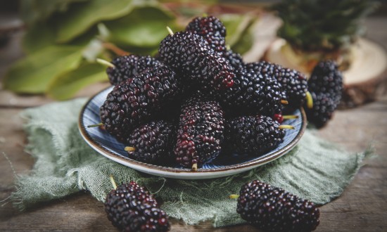 2024年中國桑葚行業(yè)市場發(fā)展現(xiàn)狀及發(fā)展趨勢