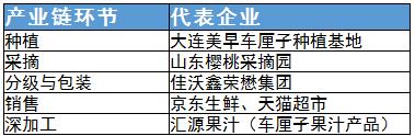 車厘子產業鏈及其代表企業分析
