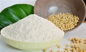 2024年大豆?jié)饪s蛋白行業(yè)的產(chǎn)業(yè)鏈上下游結(jié)構(gòu)及重點企業(yè)