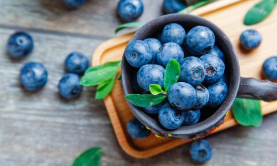 國(guó)產(chǎn)藍(lán)莓訂單增長(zhǎng)超1600% 2024藍(lán)莓市場(chǎng)現(xiàn)狀調(diào)研