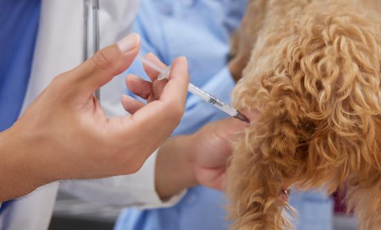 抗菌肽行業(yè)發(fā)展現(xiàn)狀 抗菌肽市場(chǎng)投資及深度預(yù)測(cè)研究