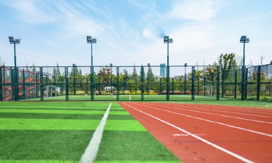 EVA塑料行業市場分析報告2024