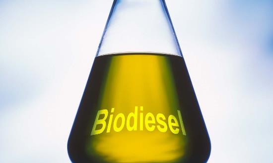 生物柴油行業市場分析與機遇：大力發展生物柴油等非糧生物燃料