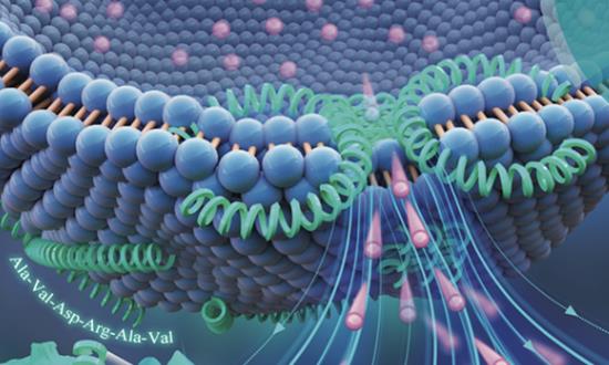 抗菌肽行業(yè)發(fā)展預(yù)測(cè)報(bào)告：抗菌肽在畜牧行業(yè)前景廣闊