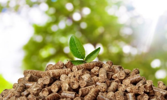 2024年中國生物質能發電行業的產業鏈分析及重點企業情況