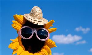 防曬用品行業(yè)供需分析及發(fā)展前景研究報(bào)告 防曬爆款單品臉基尼又火了