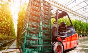 1688近期啟動(dòng)了全面入淘 直銷行業(yè)未來(lái)展望