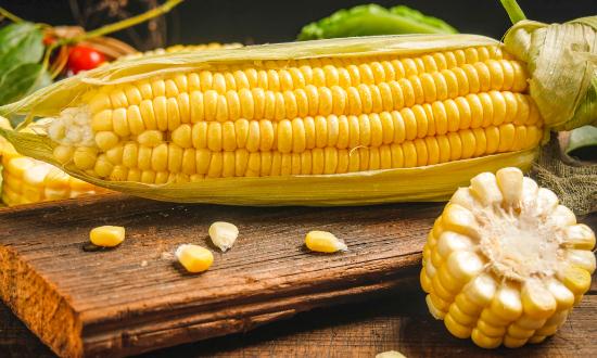 鮮食玉米行業(yè)市場深度分析 鮮食玉米市場規(guī)模將進(jìn)一步擴(kuò)大