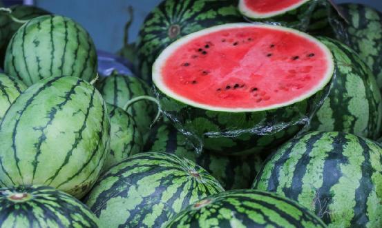 西瓜種植情況深度調研2024