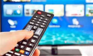 黑色家電市場(chǎng)深度全景調(diào)研2024