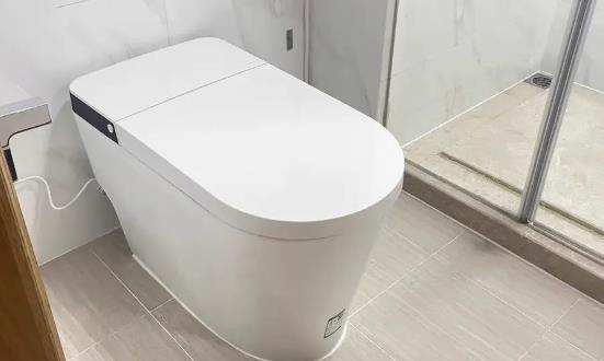智能馬桶行業發展前景潛力分析：智能馬桶個性化、定制化需求逐漸凸顯