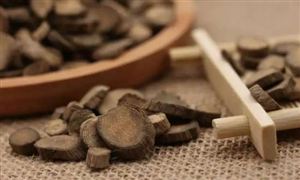 2024中藥材行業市場發展前景潛力研究