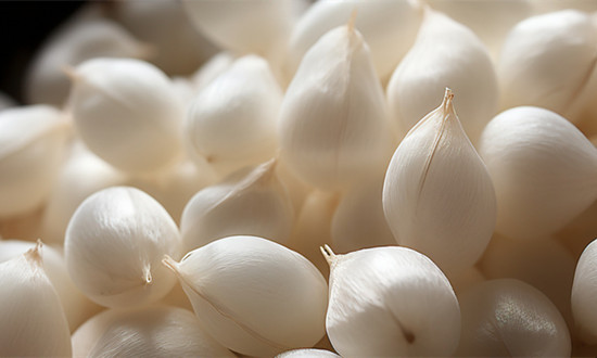 蠶蛹養殖行業發展現狀及未來市場前景