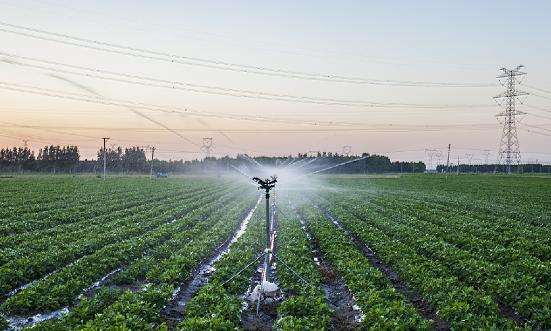 2024年中國滴灌帶行業發展前景及市場現狀分析