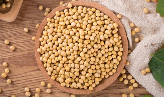 2024中國大豆加工行業市場發展與前景預測