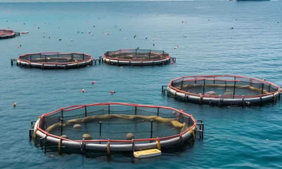 深海養殖網箱行業市場需求及深度分析2024